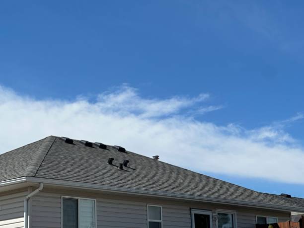 Best Asphalt Shingle Roofing  in Mattituck, NY